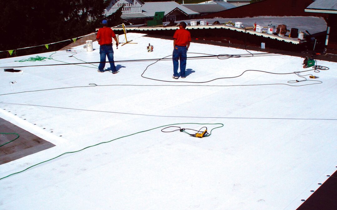 Roof Coating vs. Roof Replacement: Which is Right for Your Bristolville Building?