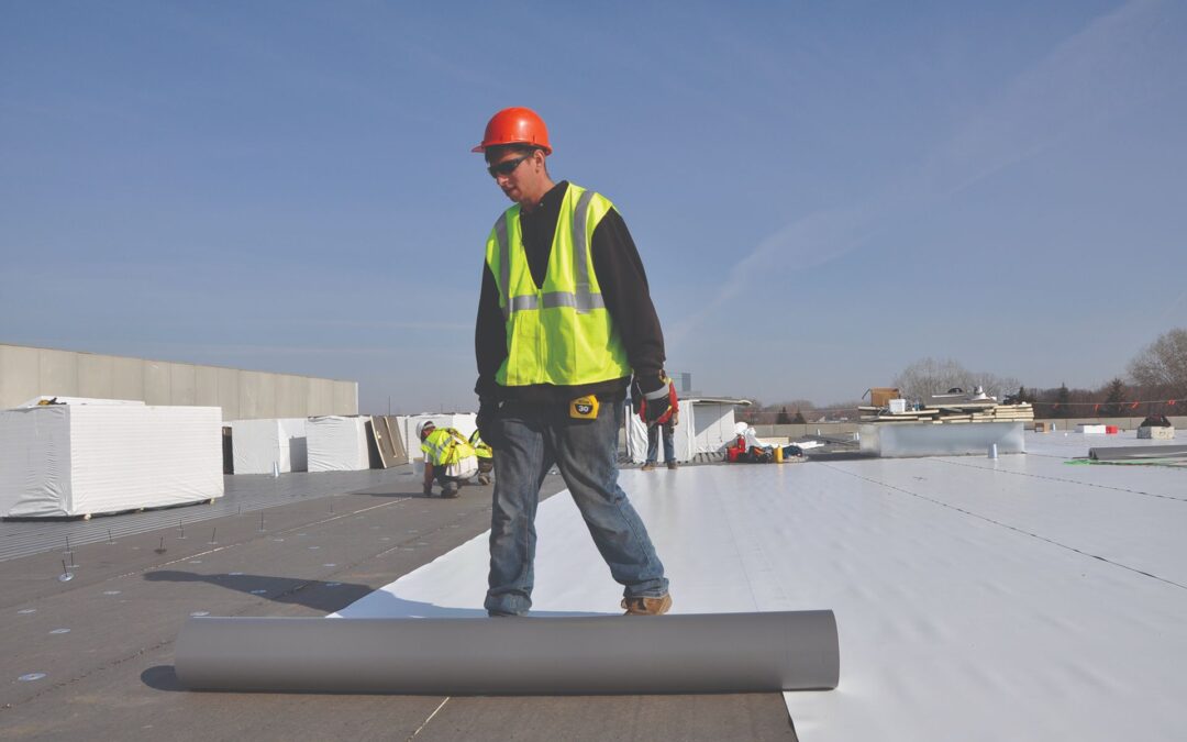 5 Signs Your Commercial Roof Needs Immediate Attention in Bristolville
